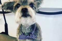 This sweet soul is Cole